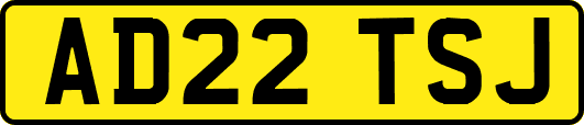 AD22TSJ