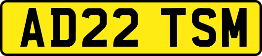 AD22TSM