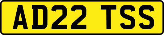 AD22TSS