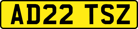 AD22TSZ