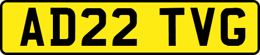 AD22TVG