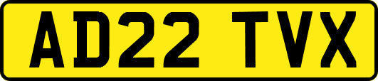 AD22TVX