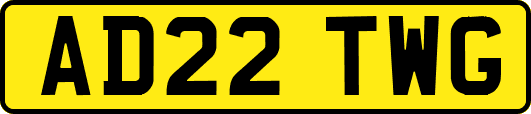 AD22TWG