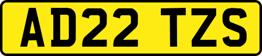 AD22TZS