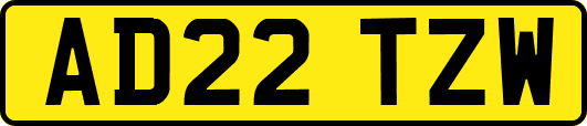 AD22TZW