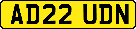 AD22UDN