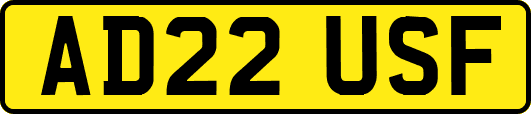 AD22USF
