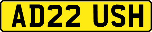 AD22USH