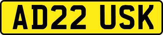 AD22USK
