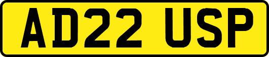 AD22USP