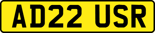 AD22USR