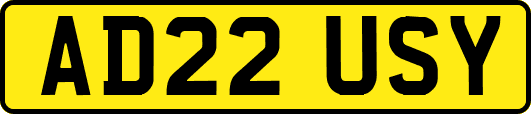 AD22USY