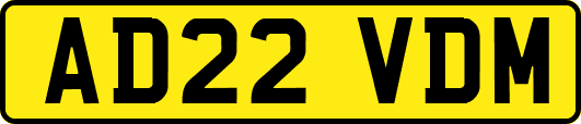 AD22VDM