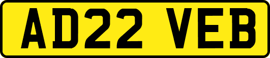AD22VEB