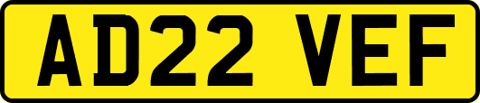AD22VEF