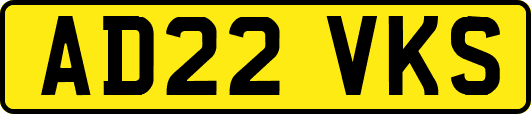 AD22VKS
