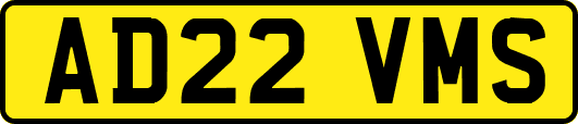 AD22VMS