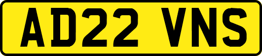 AD22VNS