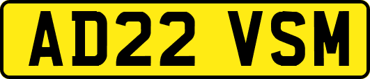 AD22VSM