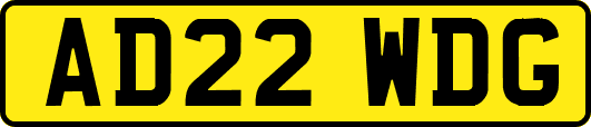 AD22WDG