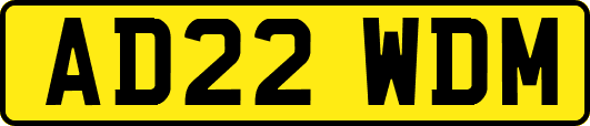 AD22WDM