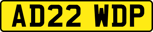 AD22WDP