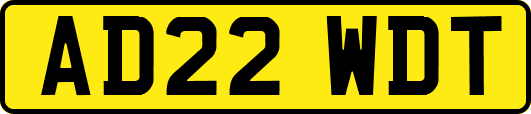 AD22WDT