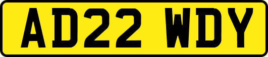 AD22WDY