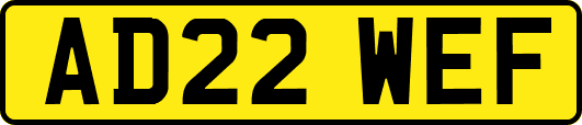 AD22WEF