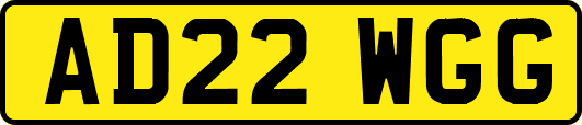 AD22WGG