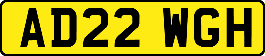 AD22WGH