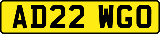 AD22WGO