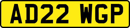AD22WGP