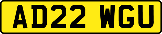 AD22WGU