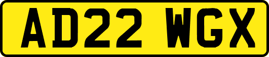 AD22WGX