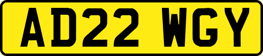 AD22WGY