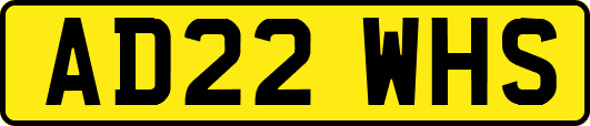 AD22WHS