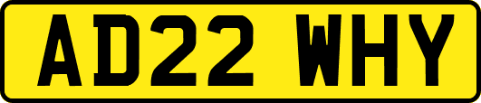 AD22WHY