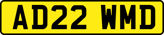 AD22WMD