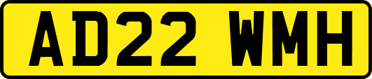 AD22WMH