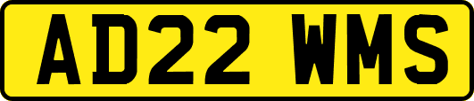AD22WMS