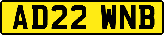 AD22WNB