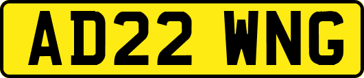 AD22WNG