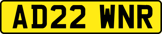 AD22WNR