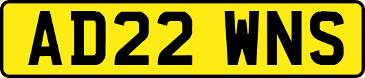 AD22WNS