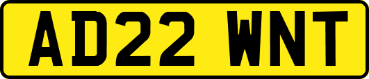 AD22WNT