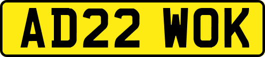 AD22WOK