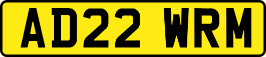 AD22WRM
