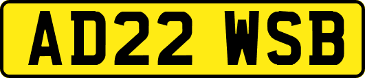 AD22WSB