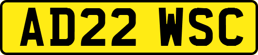 AD22WSC